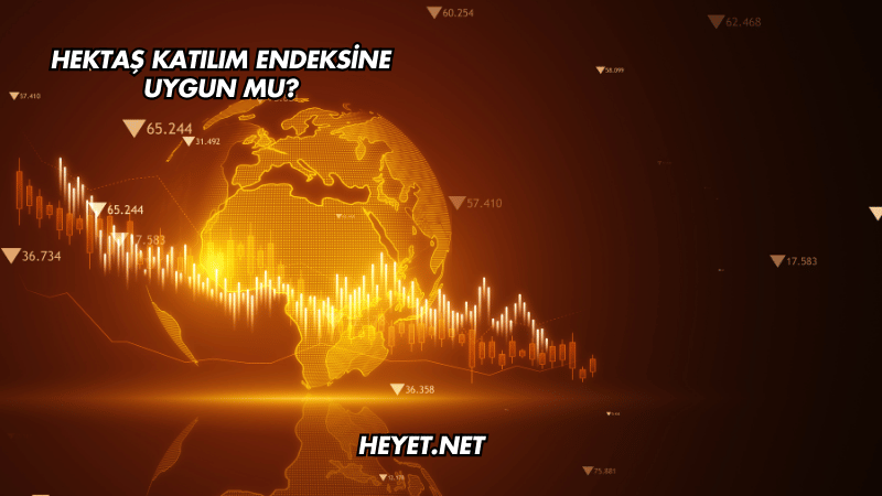 Hektaş Katılım Endeksine Uygun mu?