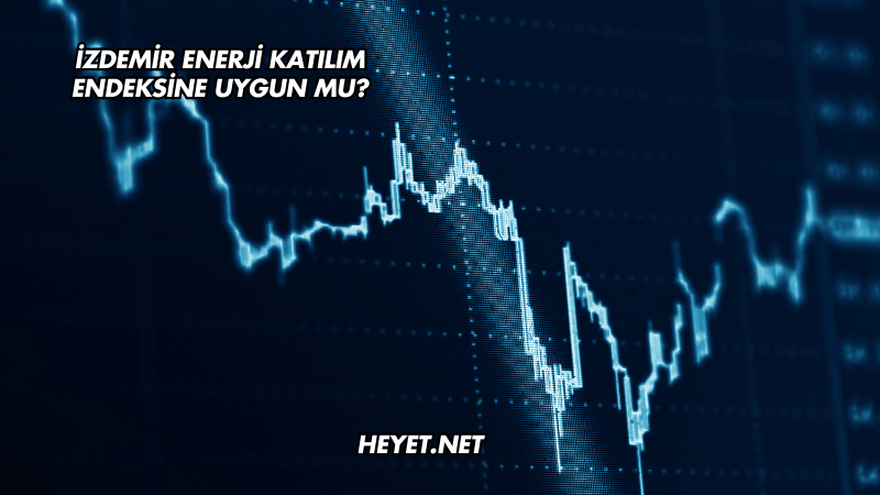 İZDEMİR Enerji Katılım Endeksine Uygun mu?