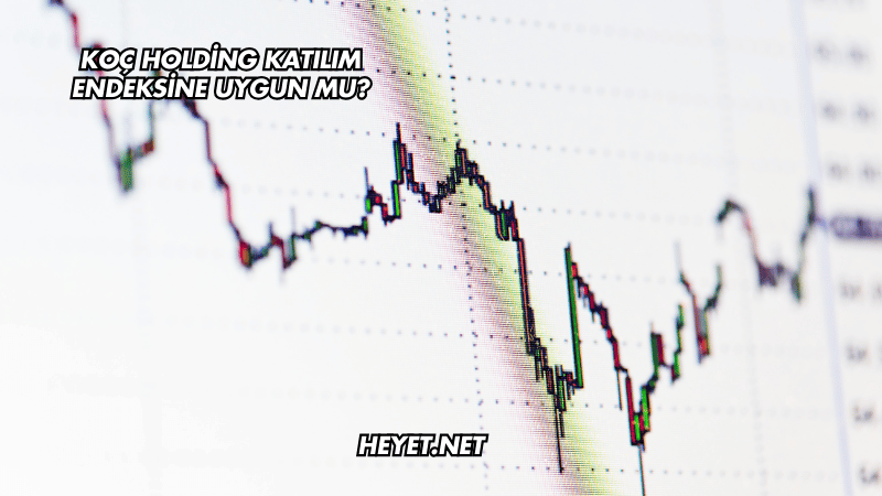 Koç Holding Katılım Endeksine Uygun mu?