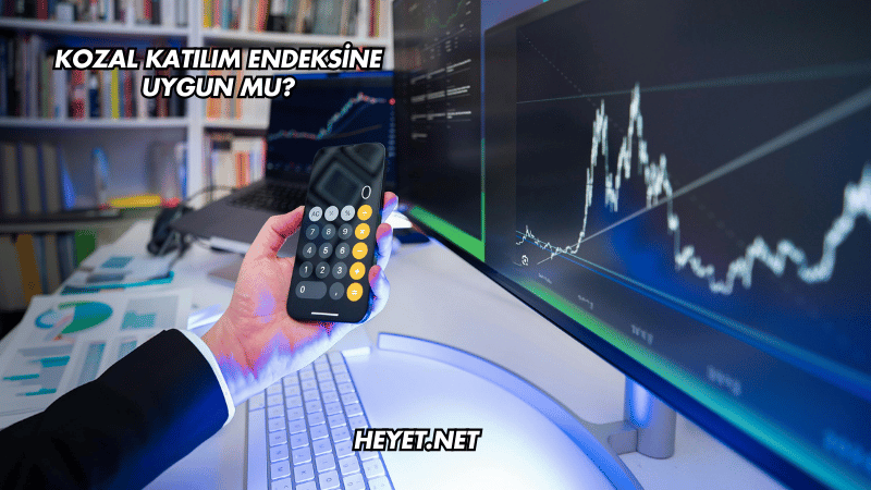 Kozal Katılım Endeksine Uygun mu?
