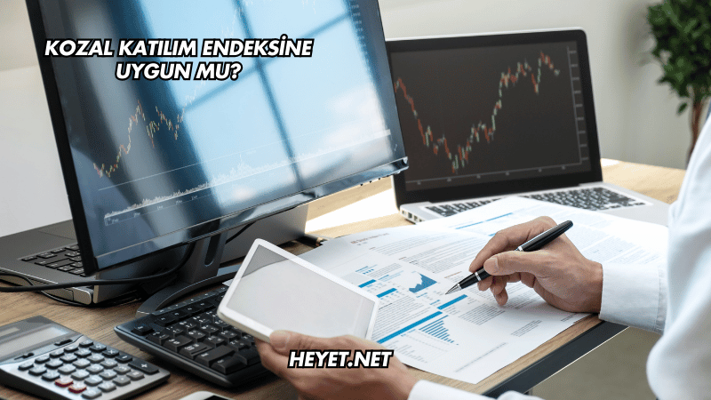 Kozal Katılım Endeksine Uygun mu?
