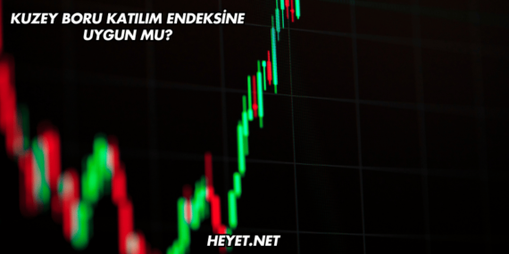 Kuzey Boru Katılım Endeksine Uygun mu?