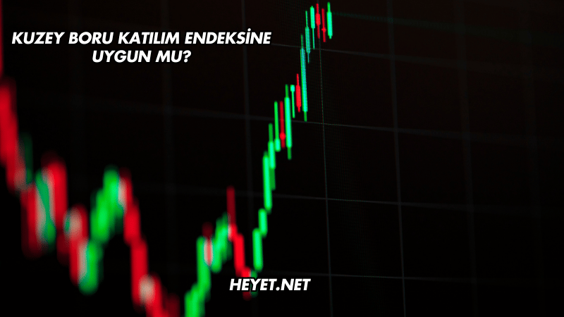 Kuzey Boru Katılım Endeksine Uygun mu?