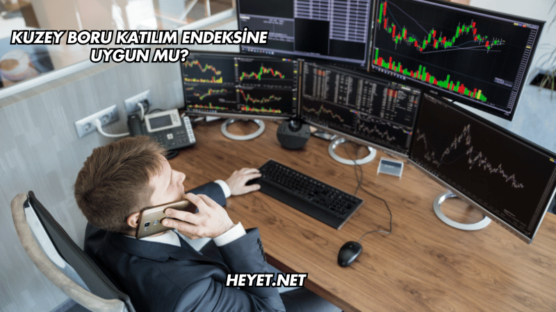 Kuzey Boru Katılım Endeksine Uygun mu?