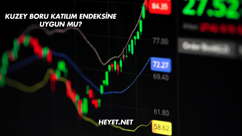 Kuzey Boru Katılım Endeksine Uygun mu?