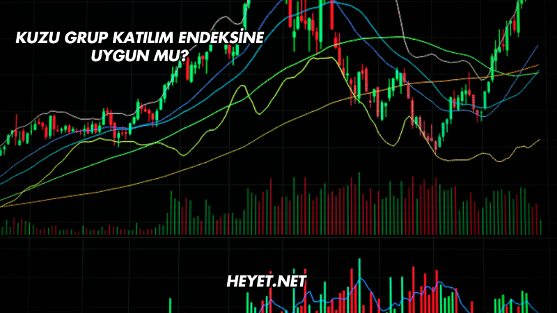 Kuzu Grup Katılım Endeksine Uygun mu?