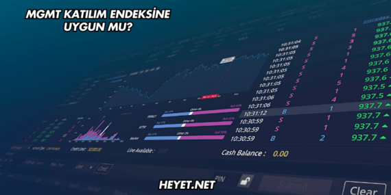 MGMT Katılım Endeksine Uygun mu?