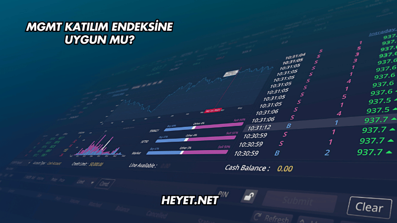 MGMT Katılım Endeksine Uygun mu?