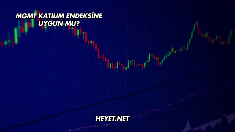 MGMT Katılım Endeksine Uygun mu?