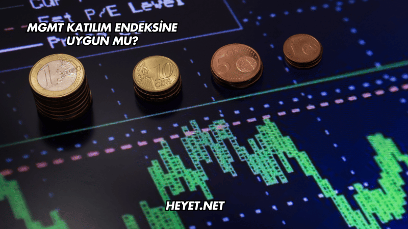 MGMT Katılım Endeksine Uygun mu?