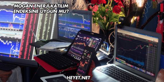 Mogan Enerji Katılım Endeksine Uygun mu?