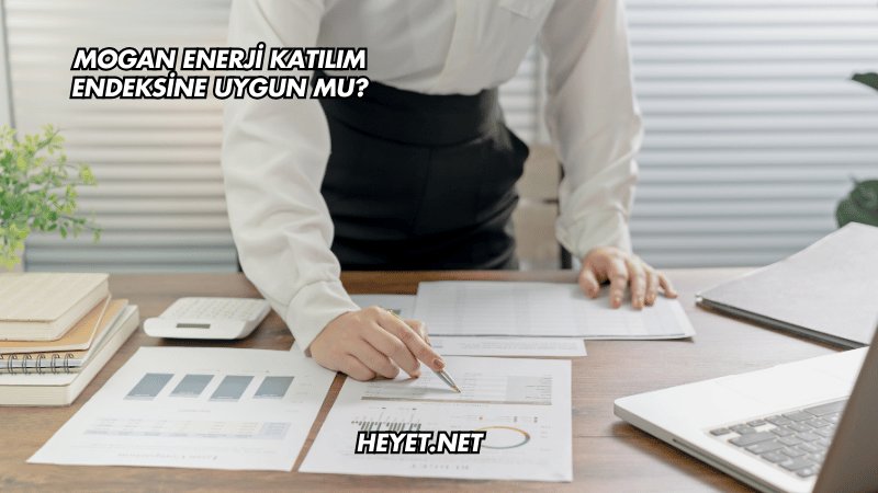 Mogan Enerji Katılım Endeksine Uygun mu?