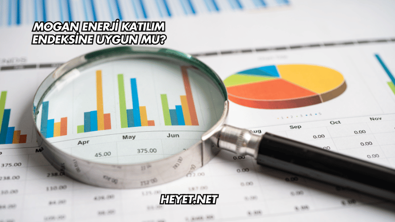 Mogan Enerji Katılım Endeksine Uygun mu?