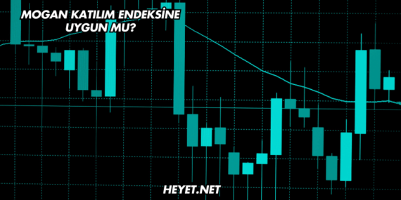 Mogan Katılım Endeksine Uygun mu?