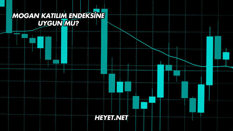 Mogan Katılım Endeksine Uygun mu?