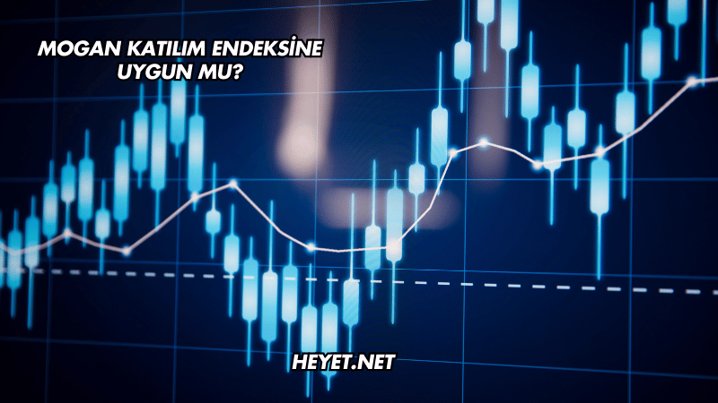 Mogan Katılım Endeksine Uygun mu?
