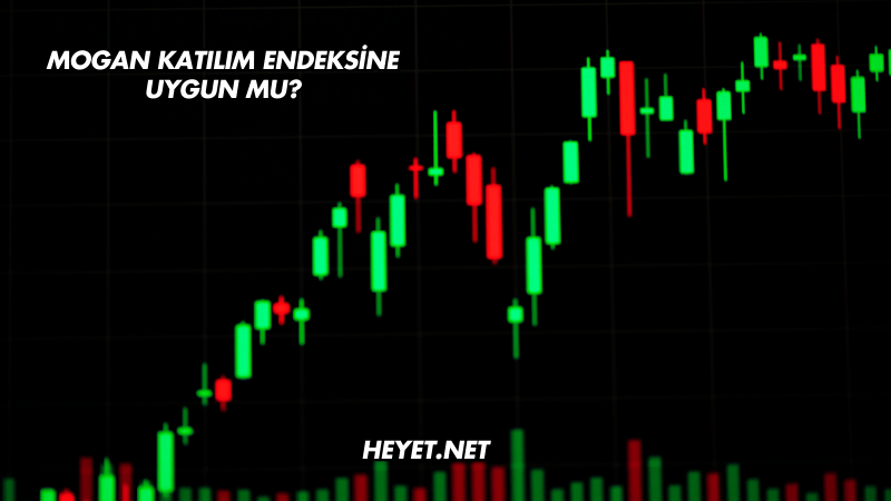 Mogan Katılım Endeksine Uygun mu?