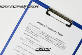 Munzam Senet Ne İşe Yarar?