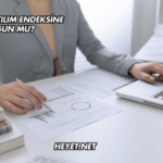Naten Katılım Endeksine Uygun mu?