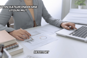 Naten Katılım Endeksine Uygun mu?