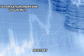Ofis Yem Katılım Endeksine Uygun mu?