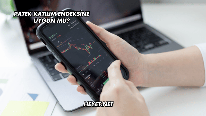 Patek Katılım Endeksine Uygun mu?