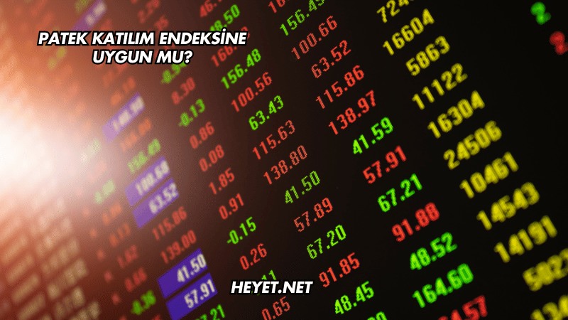 Patek Katılım Endeksine Uygun mu?