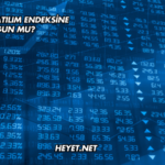 Pegasus Katılım Endeksine Uygun mu?