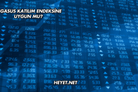 Pegasus Katılım Endeksine Uygun mu?