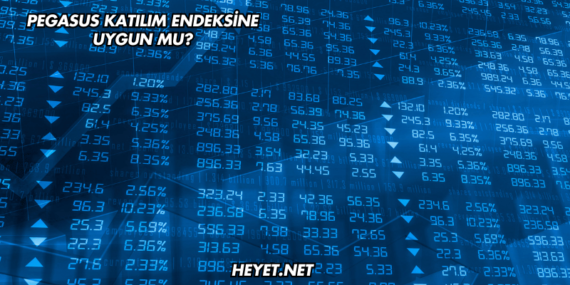 Pegasus Katılım Endeksine Uygun mu?