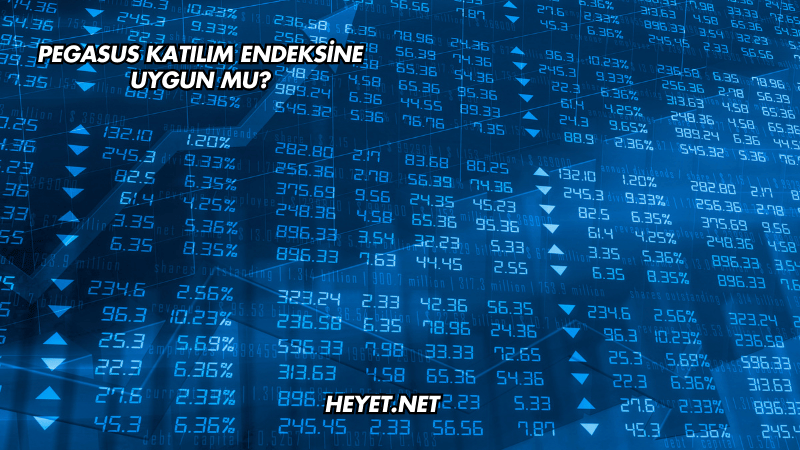 Pegasus Katılım Endeksine Uygun mu?