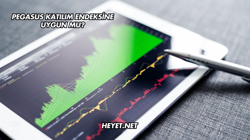 Pegasus Katılım Endeksine Uygun mu?