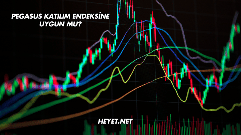 Pegasus Katılım Endeksine Uygun mu?