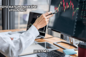 Pegyo Katılım Endeksine Uygun mu?
