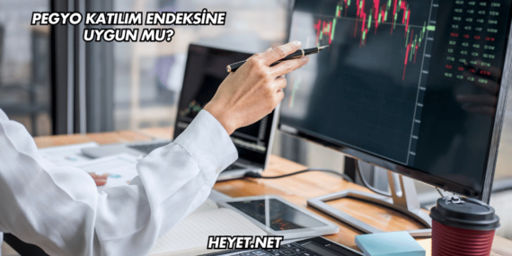 Pegyo Katılım Endeksine Uygun mu?