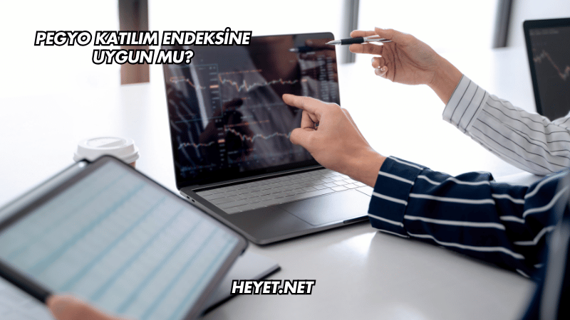 Pegyo Katılım Endeksine Uygun mu?
