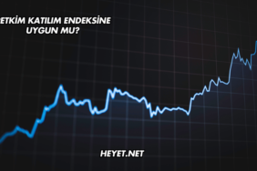 Petkim Katılım Endeksine Uygun mu?