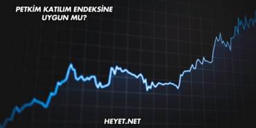 Petkim Katılım Endeksine Uygun mu?