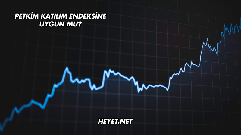 Petkim Katılım Endeksine Uygun mu?