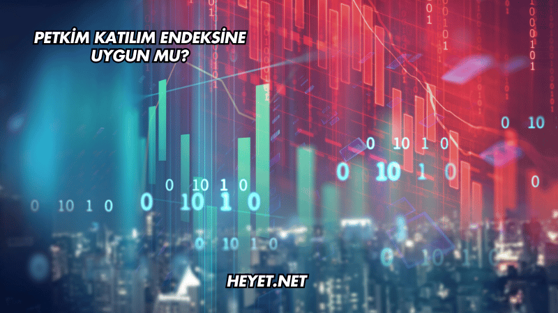 Petkim Katılım Endeksine Uygun mu?