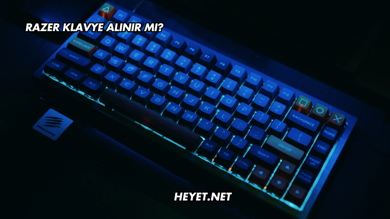 Razer Klavye Alınır mı?