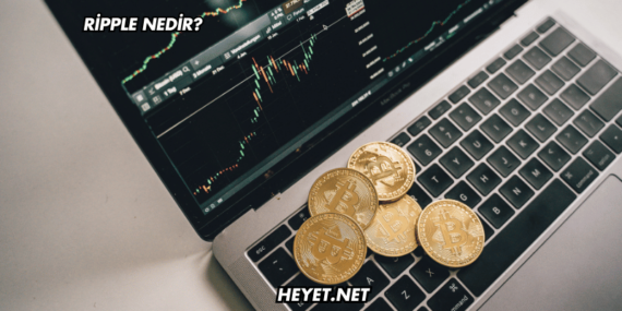 Ripple Nedir?