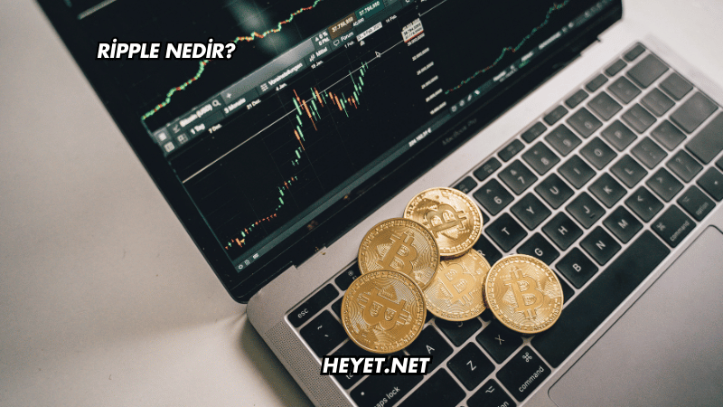 Ripple Nedir?