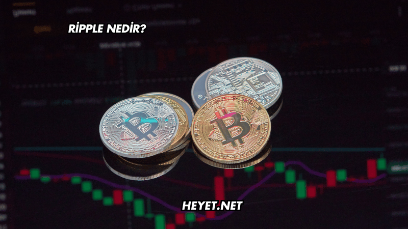 Ripple Nedir?