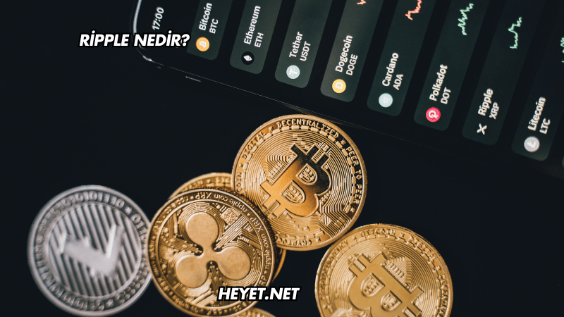 Ripple Nedir?