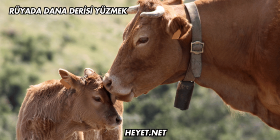 Rüyada Dana Derisi Yüzmek