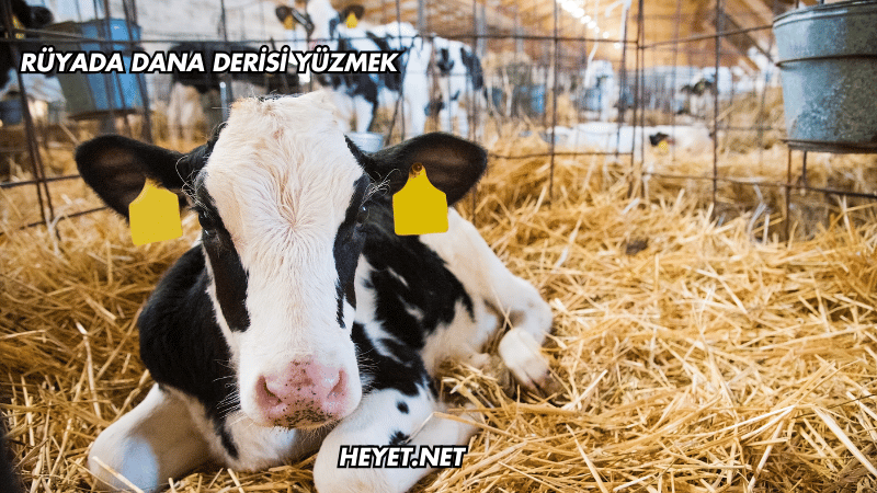 Rüyada Dana Derisi Yüzmek