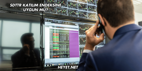 SDTTR Katılım Endeksine Uygun mu?