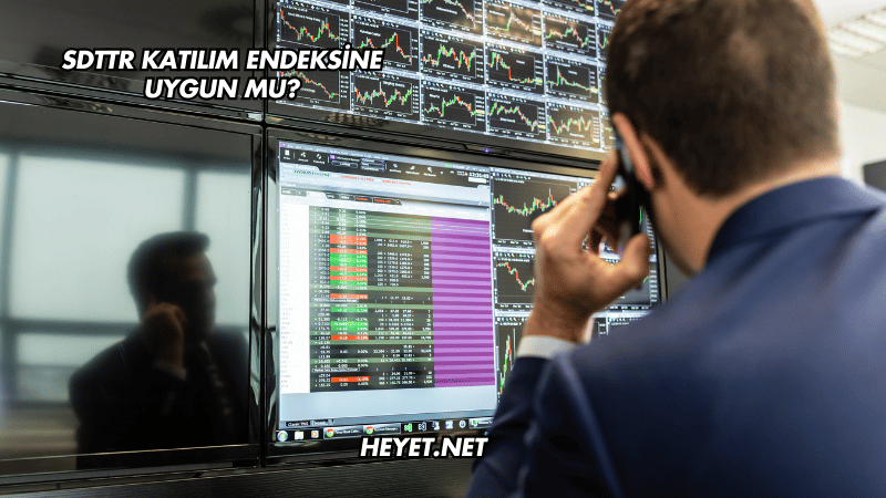 SDTTR Katılım Endeksine Uygun mu?