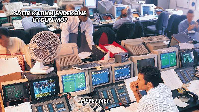 SDTTR Katılım Endeksine Uygun mu?